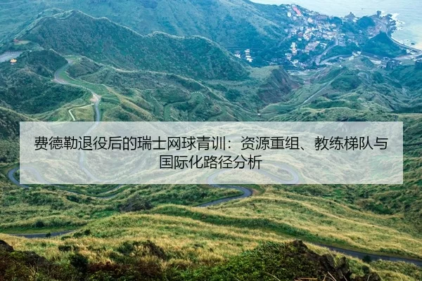 fei-de-lei-tui-yi-hou-de-rui-shi-wang-qiu-qing-xun-zi-yuan-chong-zu-jiao-lian-ti-dui-yu-guo-ji-hua-lu-jing-fen-xi-2-173.jpg