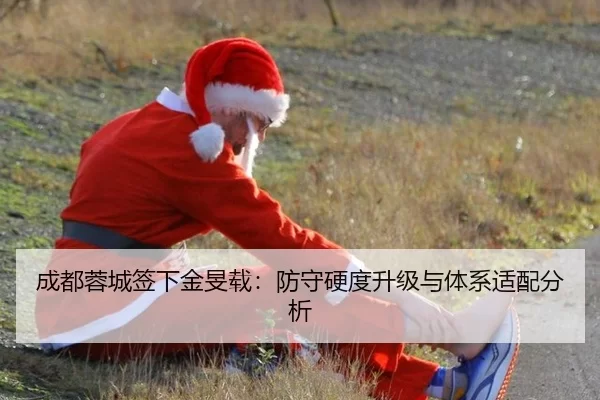 成都蓉城签下金旻载：防守硬度升级与体系适配分析